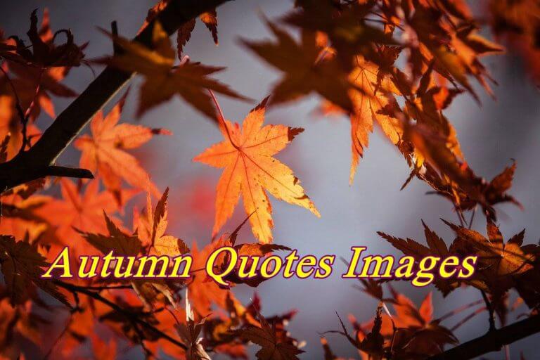 Autumn Quotes Images