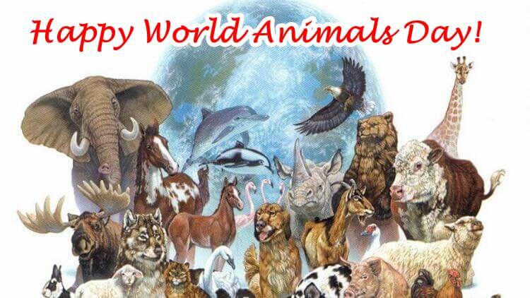 World Animals Day Messages Images