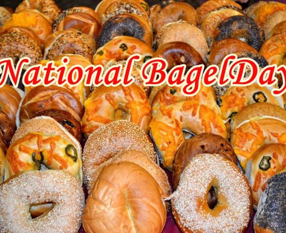 National Bagel Day Messages and Wishes