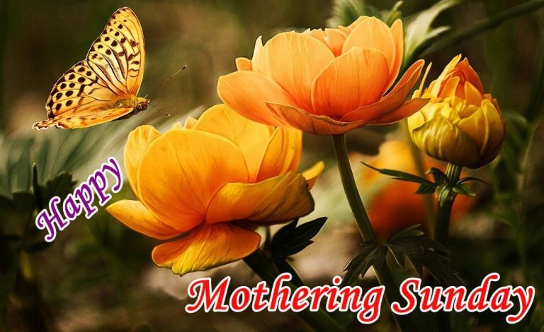 Mothering Sunday Quotes, Messages and Wishes