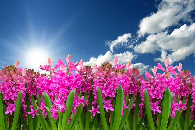 Spring Bank Holiday Messages